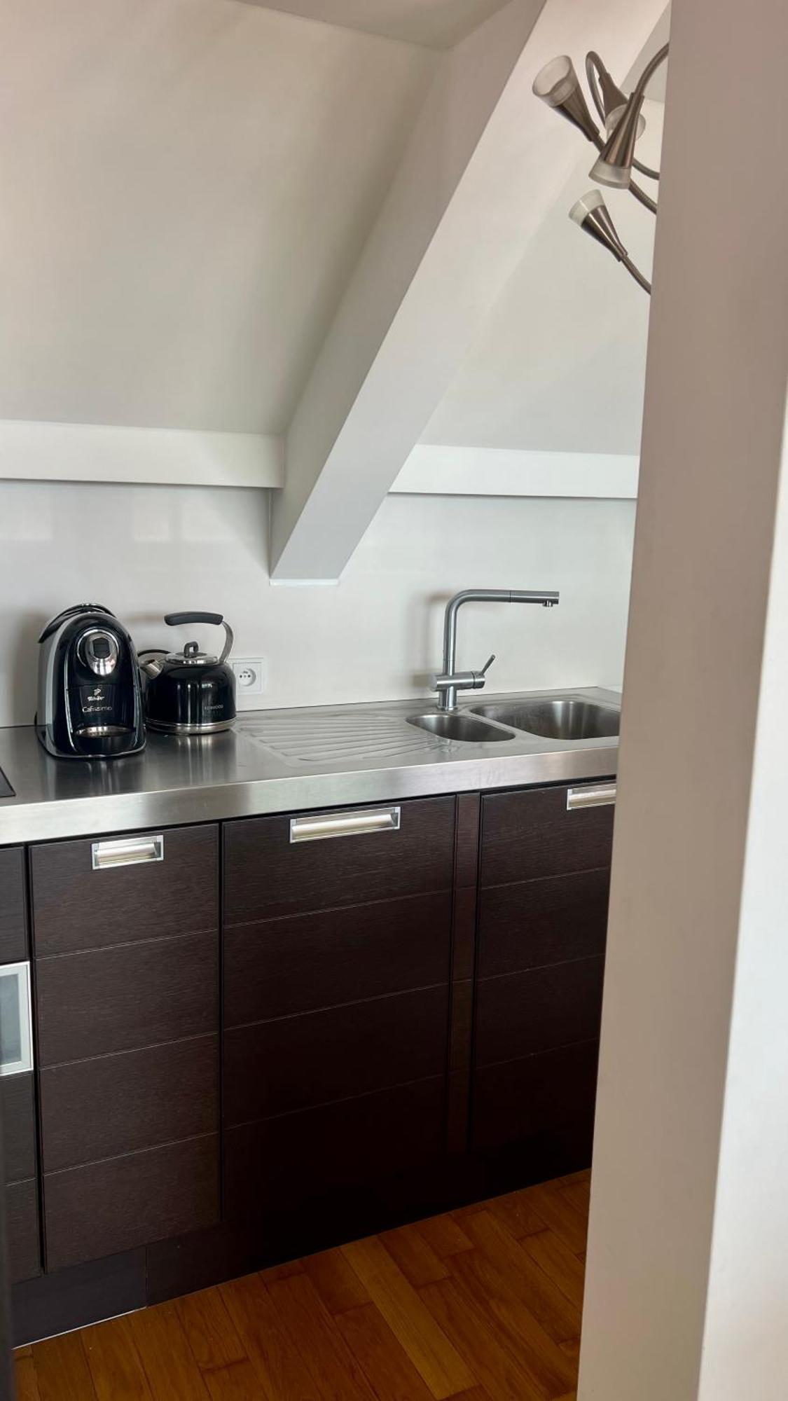 Apartman Se Saunou A Terasou S Vyhledem Na Брно Экстерьер фото