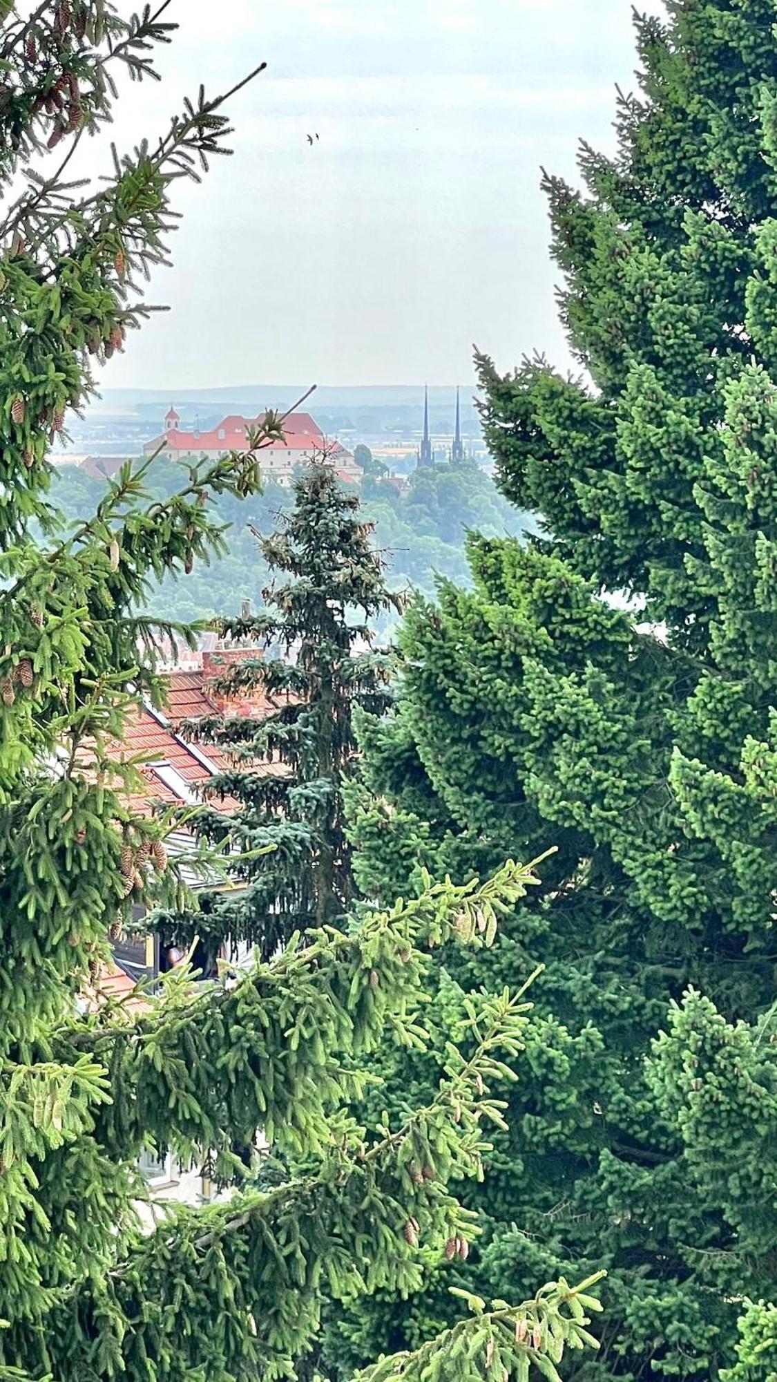 Apartman Se Saunou A Terasou S Vyhledem Na Брно Экстерьер фото
