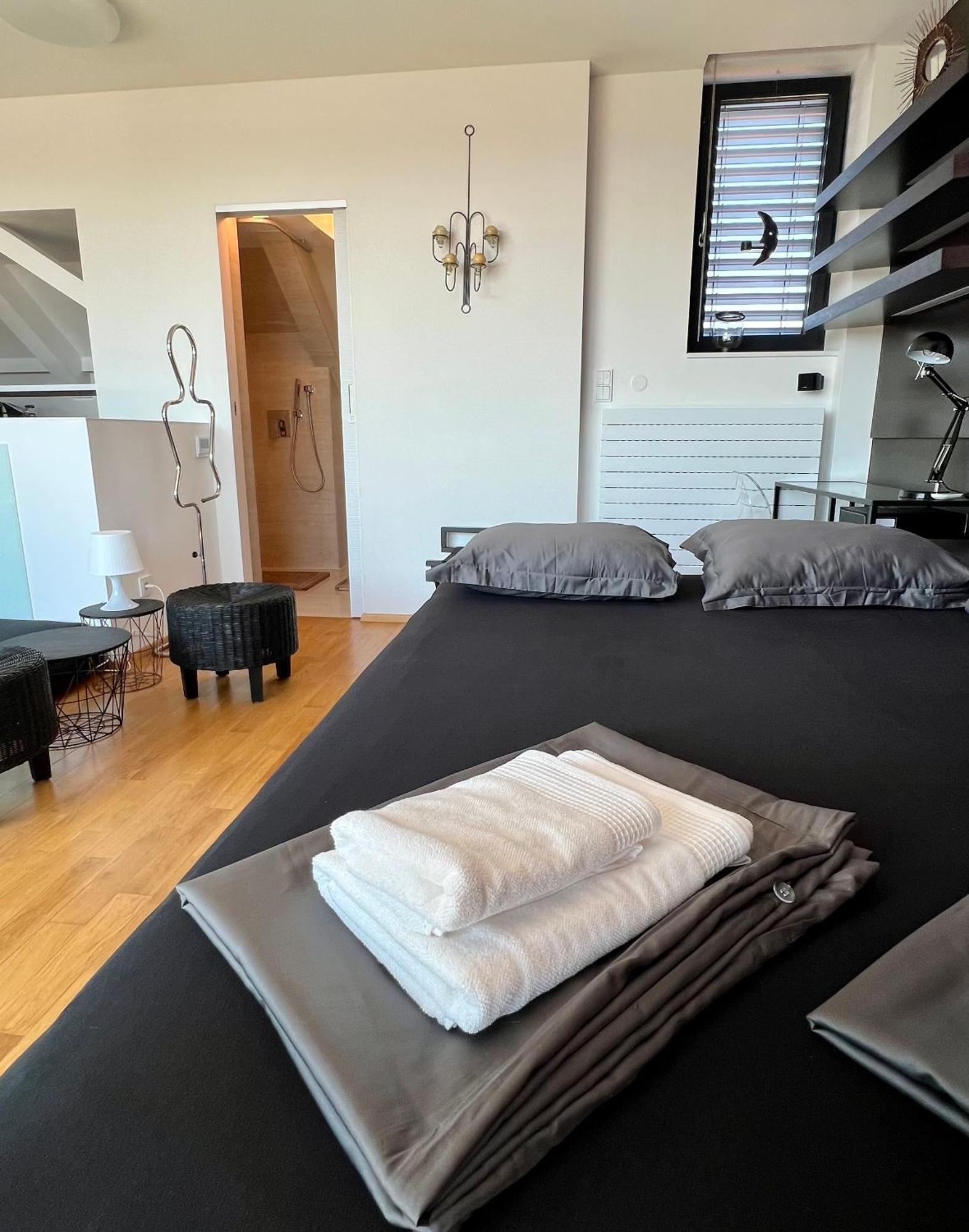 Apartman Se Saunou A Terasou S Vyhledem Na Брно Экстерьер фото